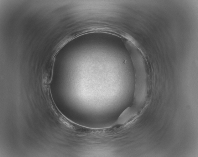 X0000053091001200507251600