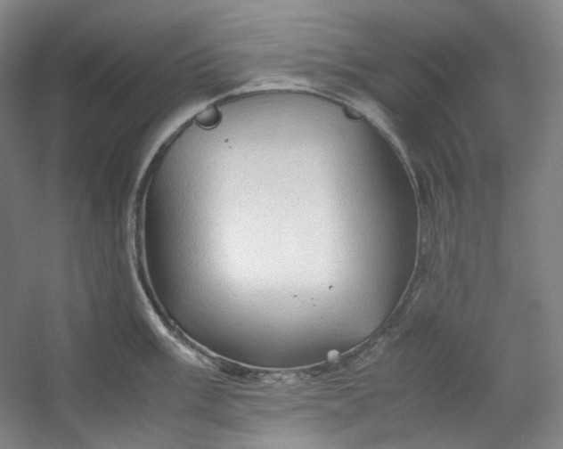 X0000053091003200507251600