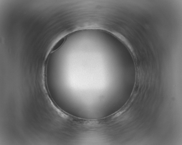 X0000053091006200507251600