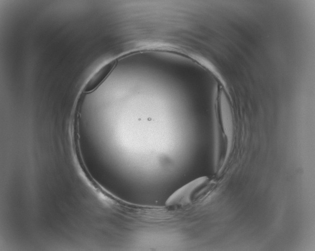 X0000053091007200507251559