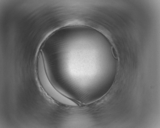 X0000053091008200507251559