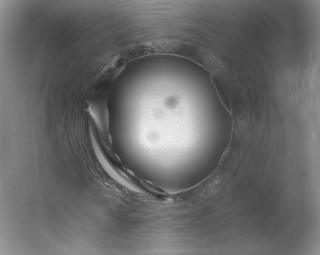 X0000053091010200507251559