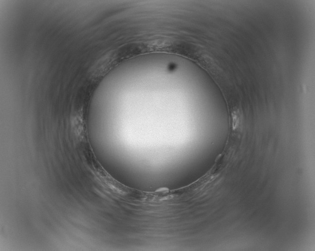 X0000053091011200507251559