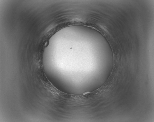 X0000053091015200507251559