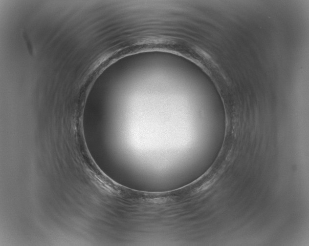 X0000053091017200507251559