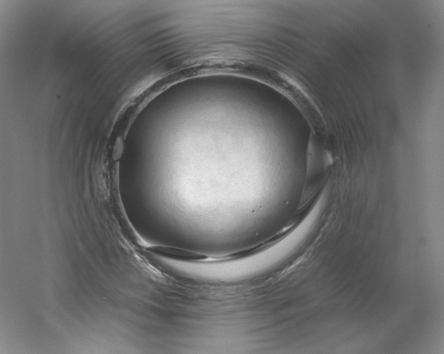 X0000053091018200507251559