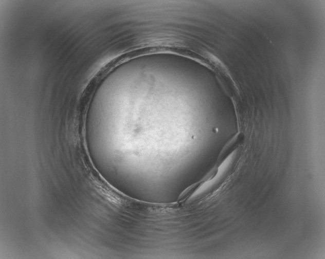 X0000053091019200507251559