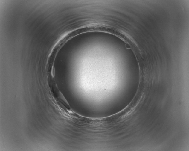 X0000053091021200507251559