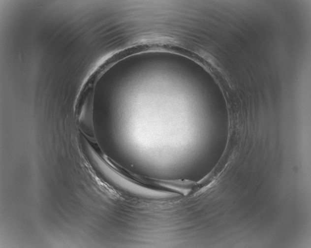 X0000053091022200507251559