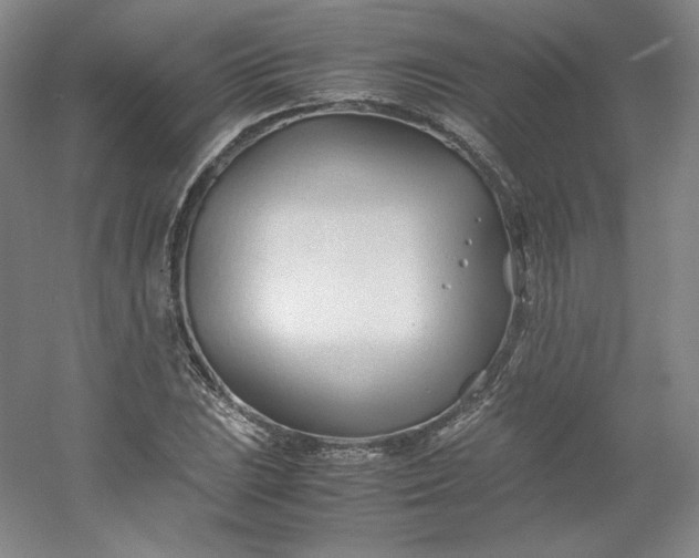 X0000053091023200507251559