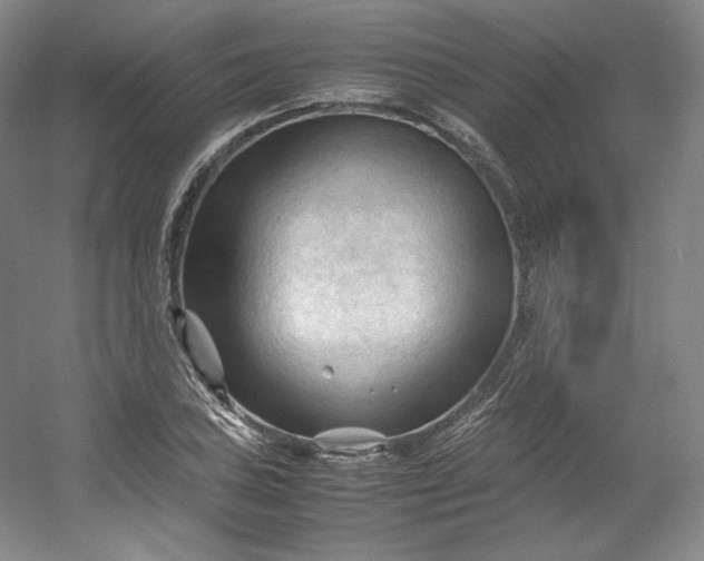 X0000053091027200507251559