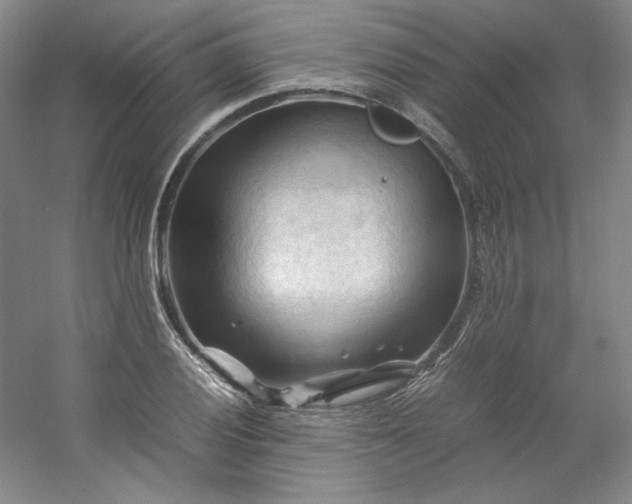 X0000053091028200507251559