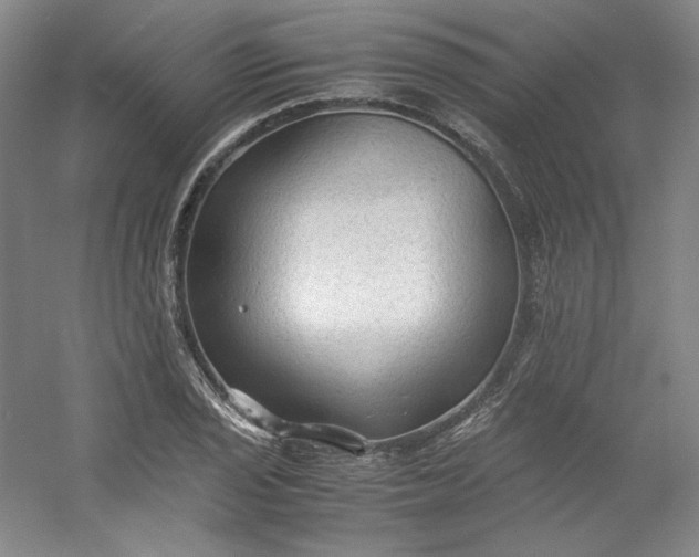 X0000053091029200507251559