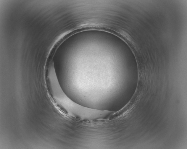 X0000053091030200507251559