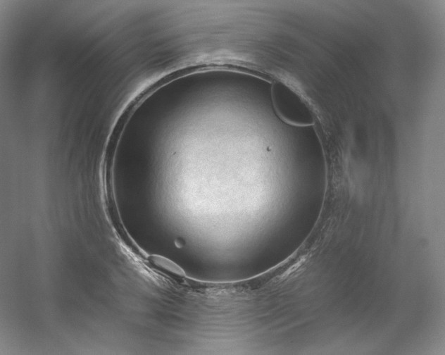 X0000053091032200507251559