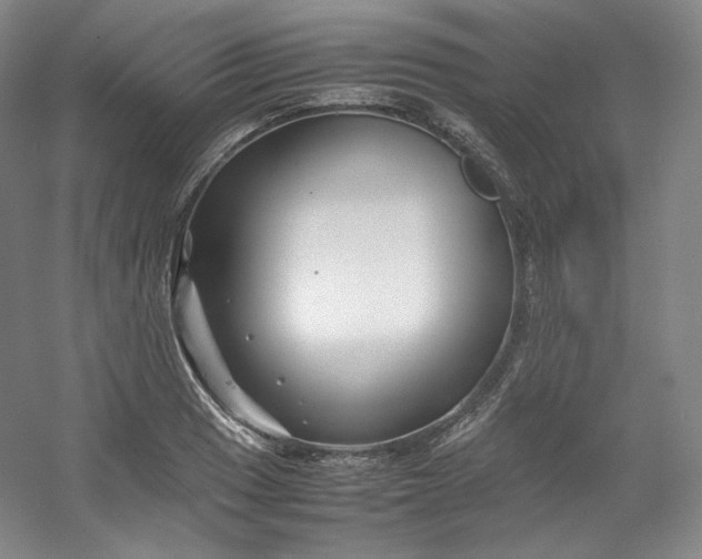 X0000053091033200507251559