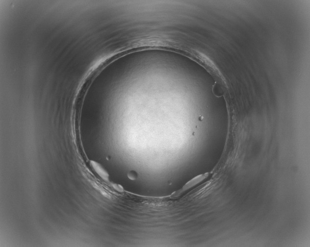 X0000053091035200507251559