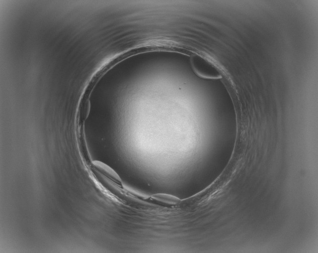 X0000053091037200507251559