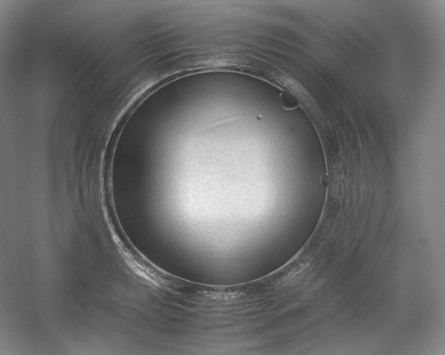 X0000053091039200507251559