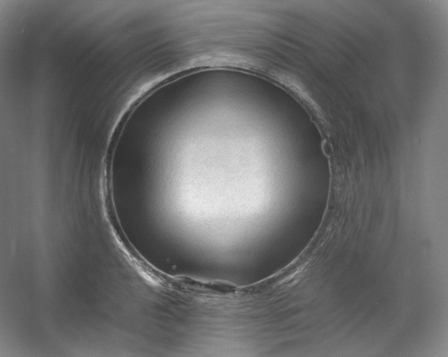 X0000053091040200507251559