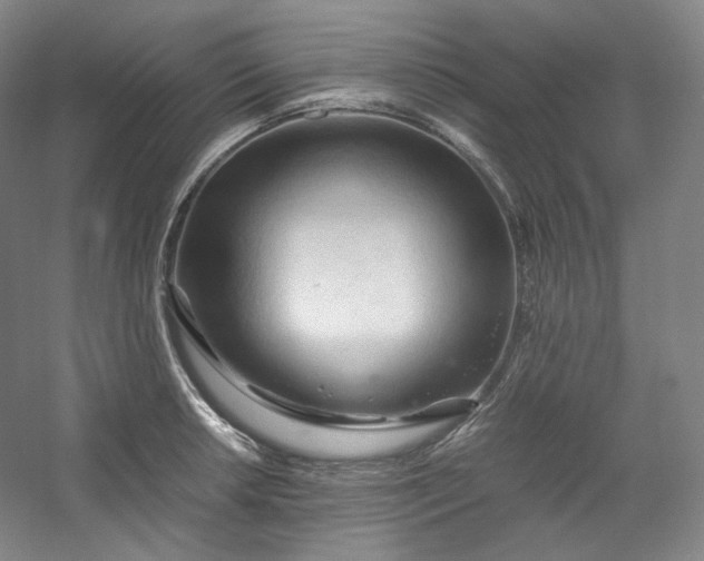 X0000053091042200507251559