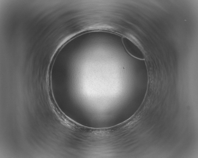 X0000053091044200507251559