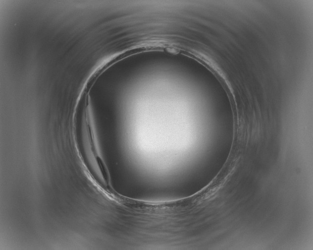 X0000053091045200507251559