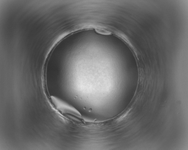 X0000053091048200507251559