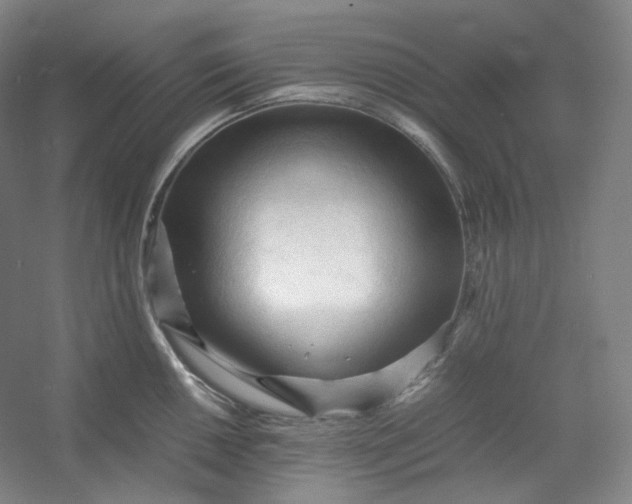 X0000053091050200507251559