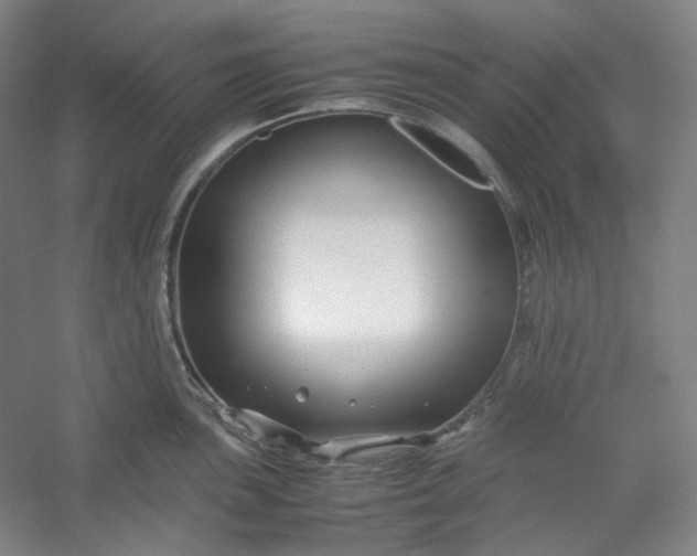 X0000053091051200507251559