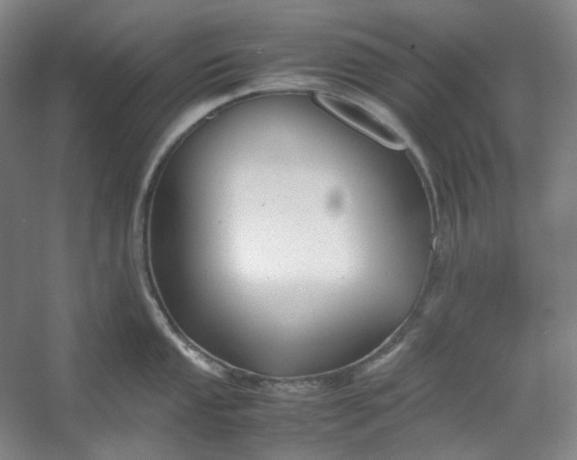 X0000053091053200507251559