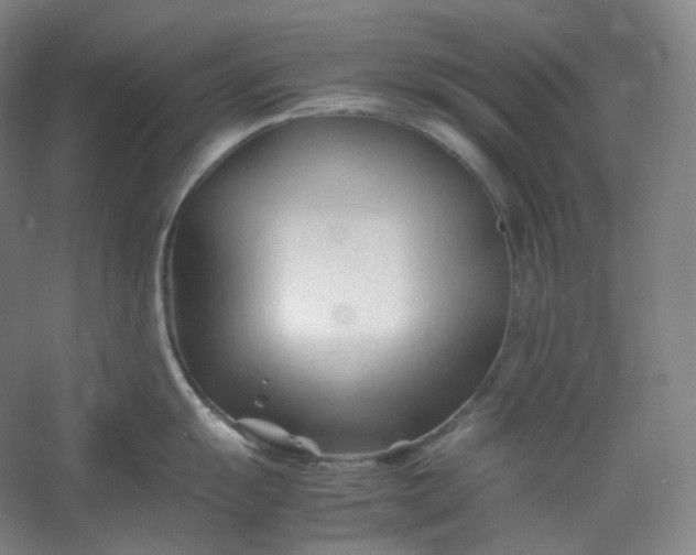 X0000053091055200507251559