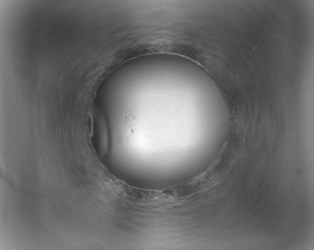 X0000053091057200507251559