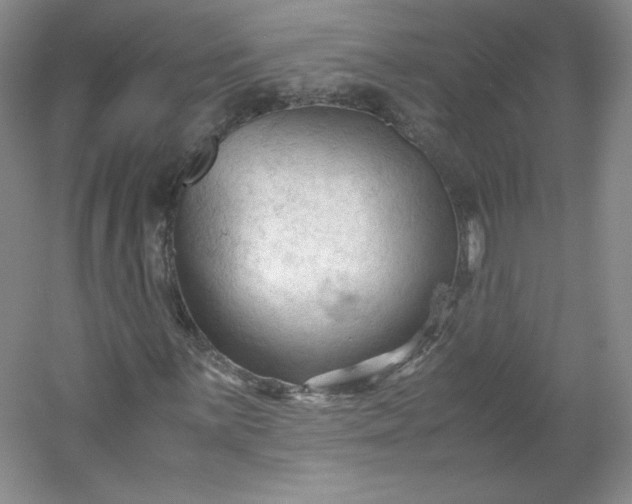 X0000053091059200507251559