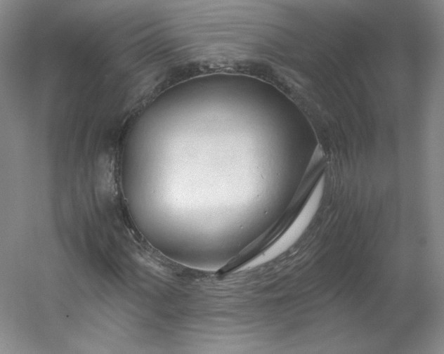 X0000053091060200507251559