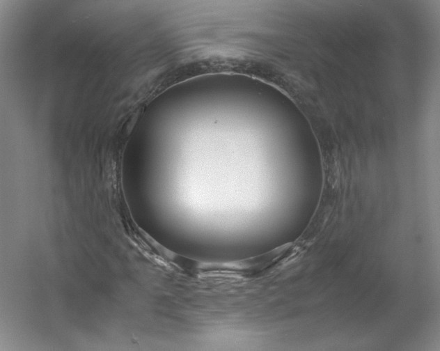 X0000053091061200507251559