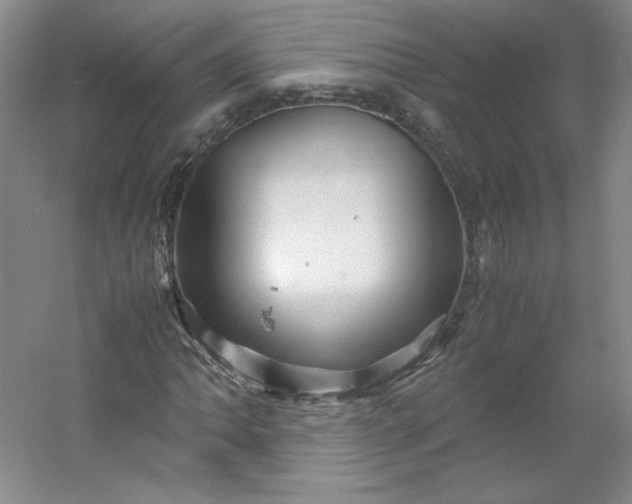 X0000053091062200507251559