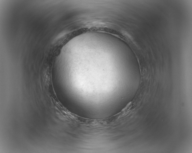 X0000053091063200507251559