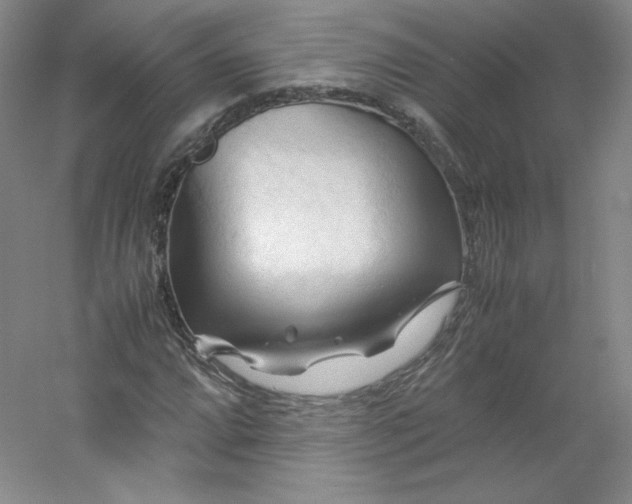 X0000053091064200507251559