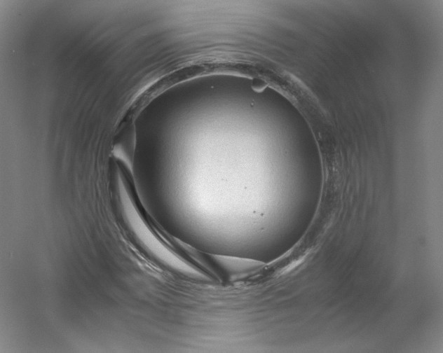 X0000053091065200507251559