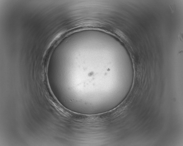 X0000053091067200507251558