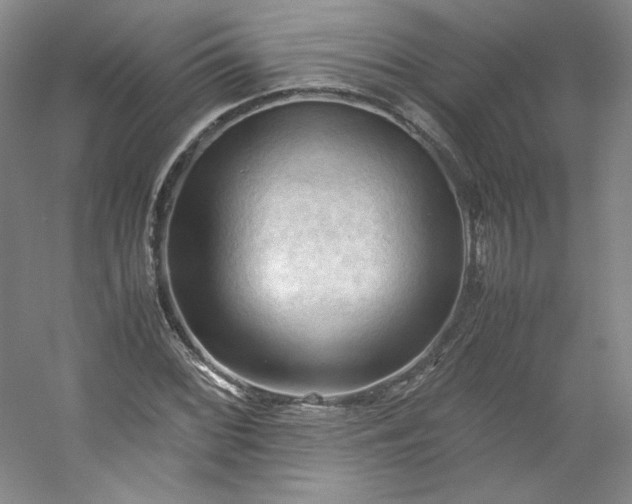 X0000053091068200507251558