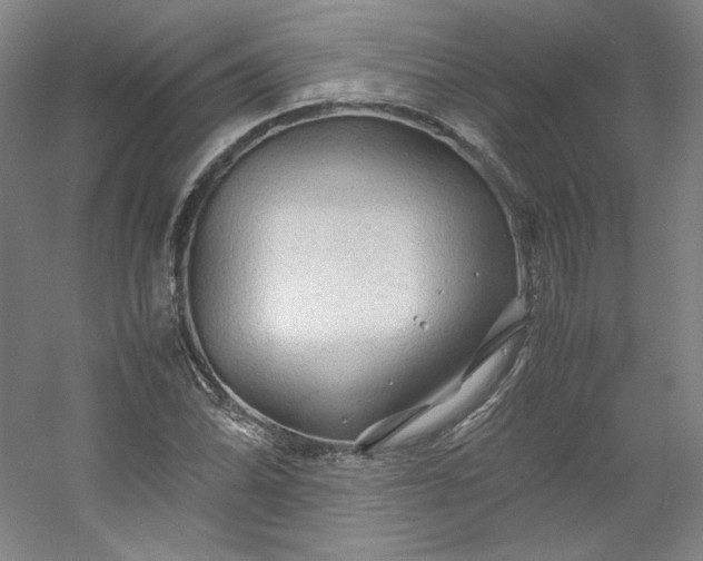 X0000053091070200507251558