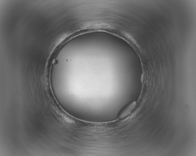 X0000053091071200507251558