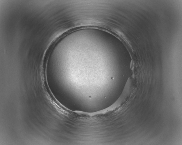 X0000053091072200507251558