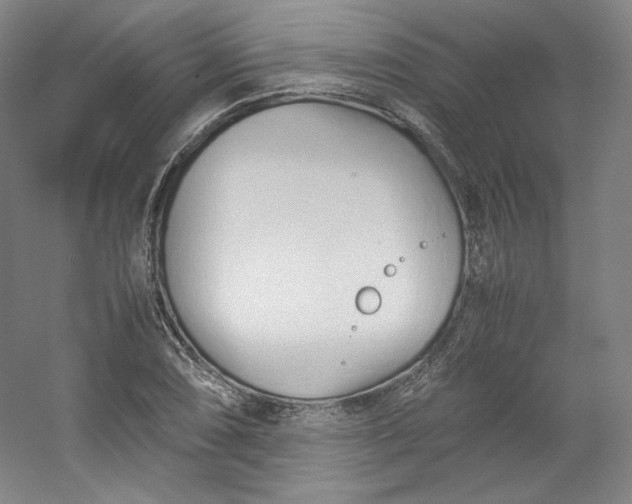 X0000053091074200507251558