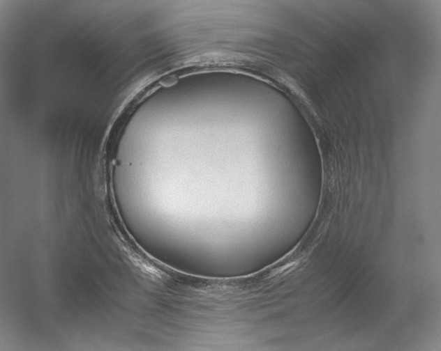 X0000053091075200507251558