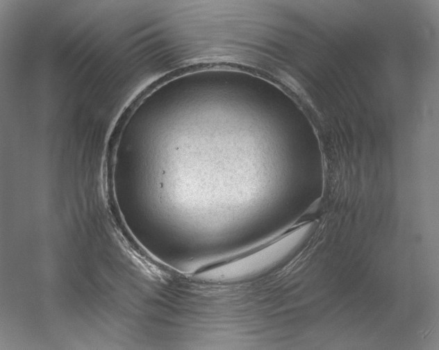 X0000053091076200507251558