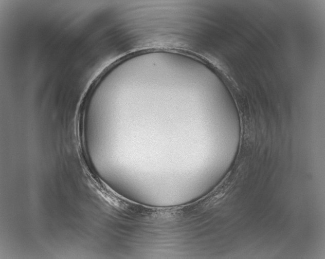 X0000053091078200507251558