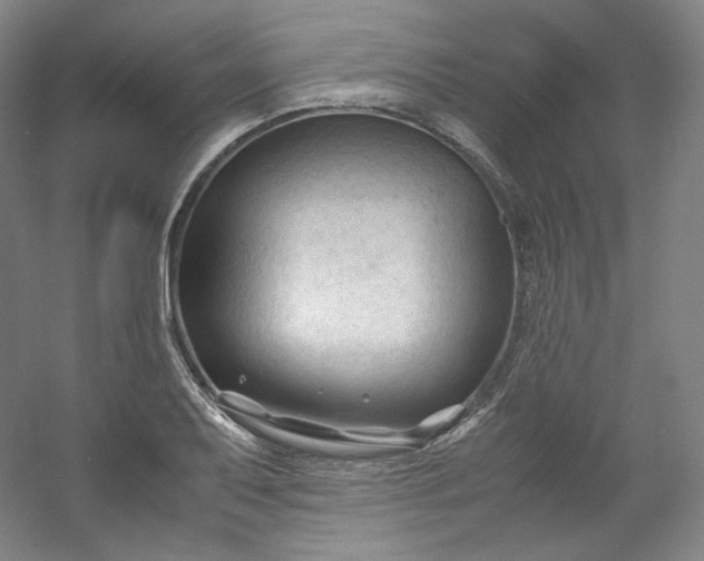 X0000053091079200507251558